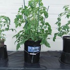 Picture 6 of 6