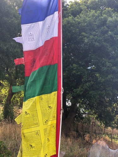 1 Set Vertical Pole Flag Large Tibetan Prayer Flag approx 2m long - Picture 6 of 12