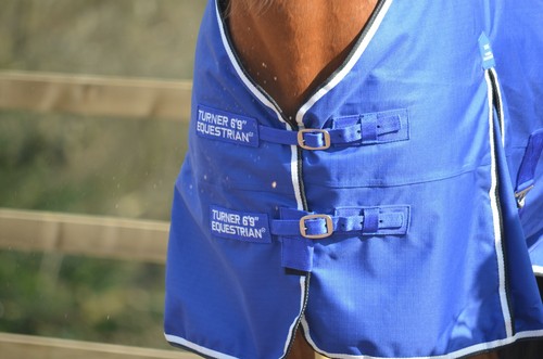 "Turner Equestrian 100g blau 600d und 1200d Ripstop Pferd Wahlbeteiligung Teppiche 5'3""-7'0" - Bild 2 von 4