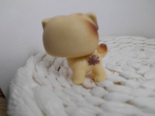 LPS Littlest petshop pet shop chien chat européen dogue colley cat dog rare - Imagen 45 de 76