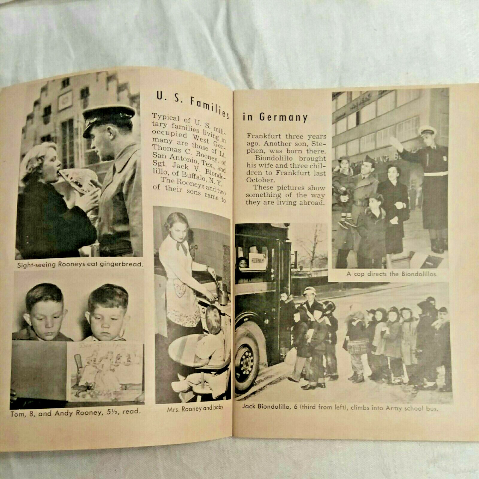 Picture 6 of 6