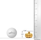 Foto 5 di 7