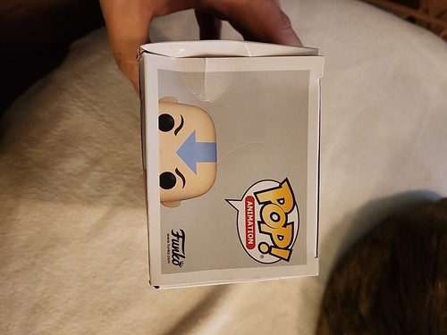 Funko Pop!: Avatar: The Last Airbender - Aang #995 - Caja Funko Shop dañada - Imagen 5 de 8