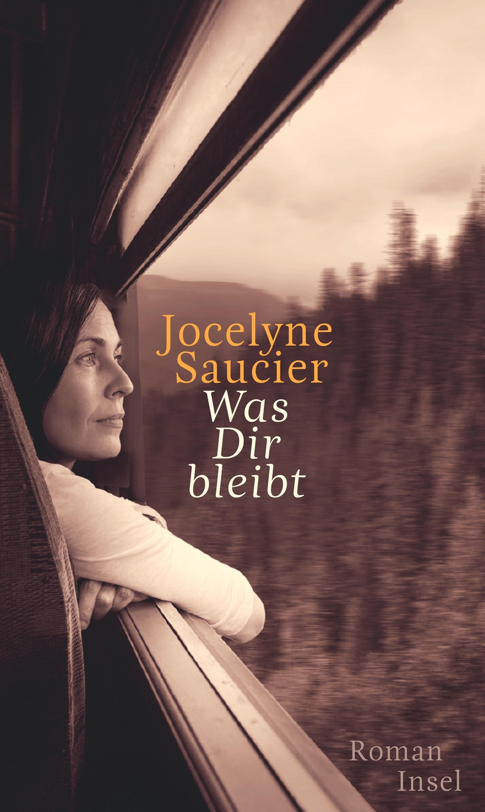Thumbnail - Was Dir Bleibt Jocelyne Saucier