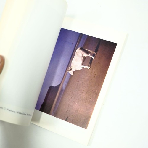 Color Photography Book 1986 First Edition Softcover | Vintage Color Photos From - Picture 3 of 13