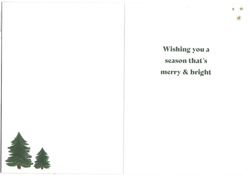 20-Pack Christmas Cards Holiday Xmas Set Green with White Envelopes - Picture 2 of 7