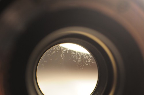Nikon TC-17E II 1.7X AF-S Teleconverter READ for Nikkor 200-500mm f/5.6 VR 300mm - Picture 5 of 5