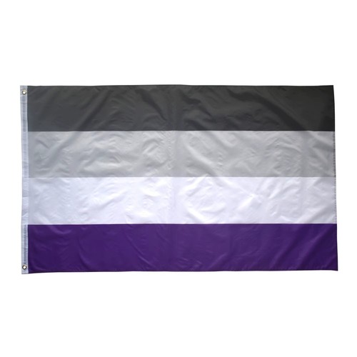 Bandera Arco Iris Orgullo LGBT Negro Gris Blanco Rayas LGBTQIA Reino Unido Asexual - Imagen 3 de 3