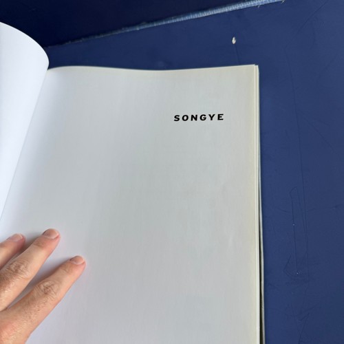 African Art Africa - Book The Formidable Songye Sculpture François Neyt - Picture 11 of 13