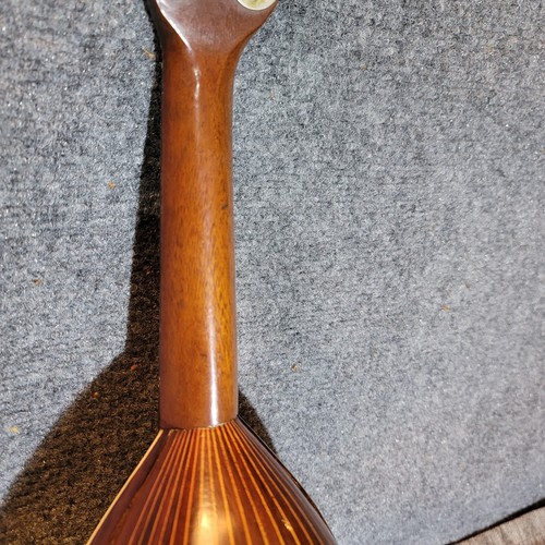 Antique c1895-1925 Marca Aquila Bowl-Back Mandolin - Picture 6 of 24