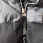 Picture 3 of 12