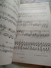 Foto 8 di 12