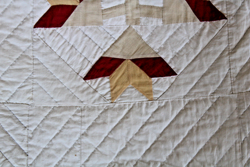 Antique Patchwork Quilt Applique Carolina Lilly Signed Mary Brown c.1899 86x68 - Picture 12 of 13