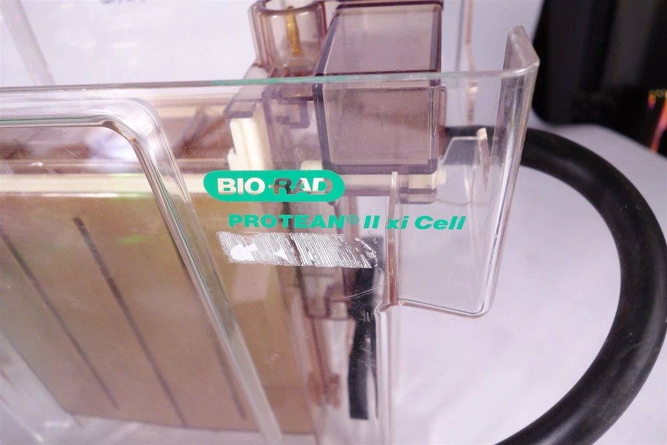 BIO-RAD PROTEAN II xi TRANS-BLOT CELL + Acessórios - Imagem 2 de 4