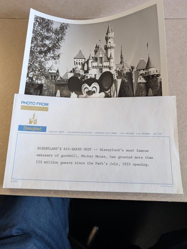 Disneyland Topolino prima foto stampa in bianco e nero con lettera Disneyland allegata - Foto 2 di 3