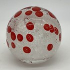 Bild 8 von 8