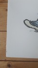 Picture 6 of 6