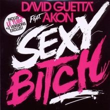 Sexy Bitch von David Feat. Akon Guetta | CD | Zustand gut