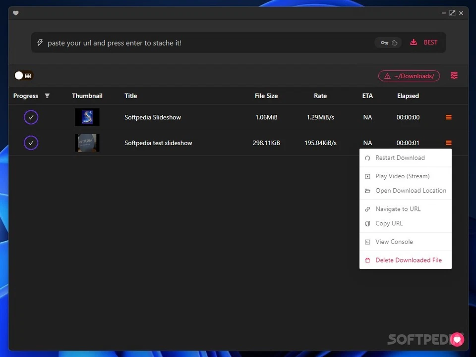 Stacher - Descargador y convertidor de video y audio YouTube versión CD de software Foto 3 de 3