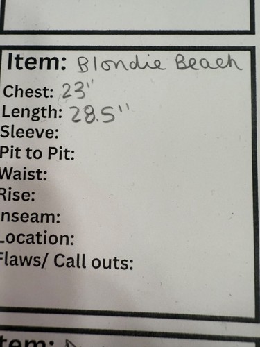 Blondie Beach Graphic Hoodie Streetwear Urban Music Design Medium Black - Bild 3 von 3