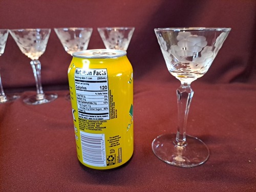 SET of 5 LIBBEY GLENMORE ETCHED Floral Liquor Cordial Glass Set - 1950s - Picture 3 of 10