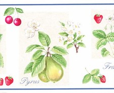 FRUIT APPLES STRAWBERRY CHERRIES PEARS Wallpaper bordeR Wall KITCHEN