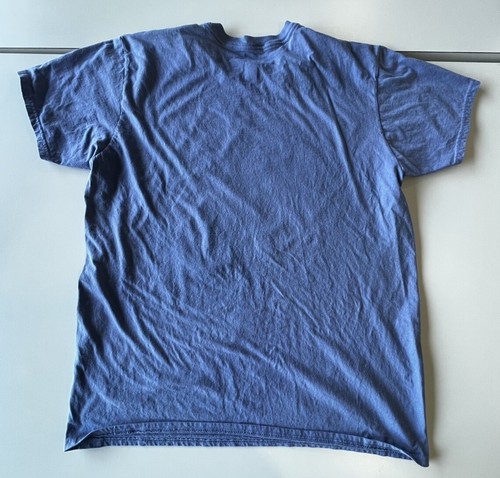 Disney Figment Shirt Gr. XL 2017 Epcot Flower & Garden Festival Passholder - Bild 6 von 6