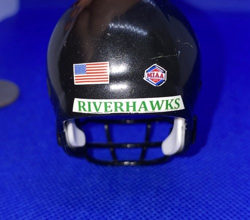 Northeastern State Riverhawks Custom Pocket Pro Helmet D2 Division 2 MIAA #16 - Picture 3 of 15