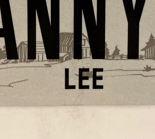 Vanity DANNY DANIEL G license plate Dannie Dan Danielle Dane Danial Danilo Dany - 第 7/12 張圖片