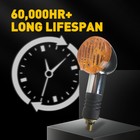 Zdjęcie 5 z 12