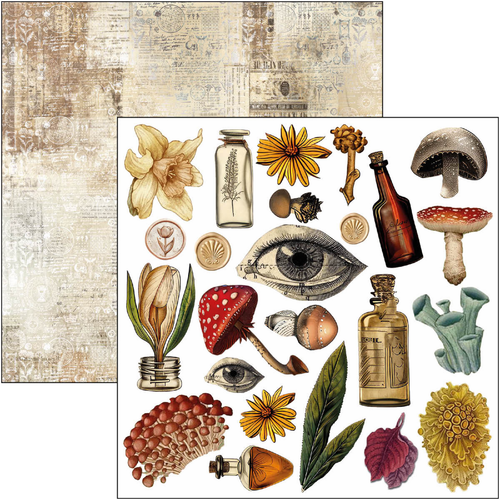 Ciao Bella Cabinet Of Curiosities 6" x 6" Fussy Cut Pad Scrapbook Paper - Picture 3 of 9