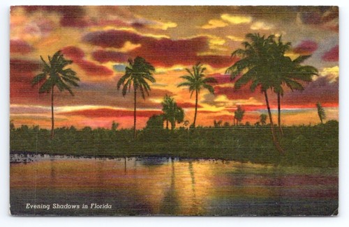 Evening Shadows in Florida Sunset Palm Trees Lake Vtg Linen Postcard