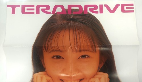 SEGA Teradrive Plakat IBM PC Soft Selection 14 Niezwykle rzadki Świetny stan - Zdjęcie 6 z 7