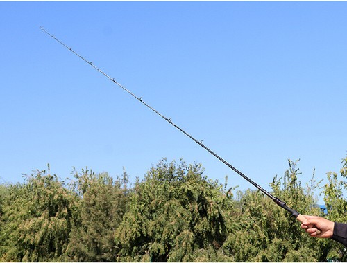 Fishing Rod 1.68m/1.8m Carbon Fiber Spinning/Casting Pole Trout Rods 2 Sections - Picture 17 of 72