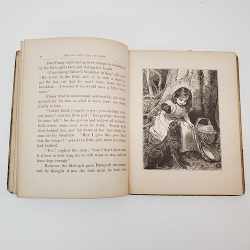Antique Daisies and Raindrops 1882 Children's Book Dutton New York Illustrated - Picture 16 of 23