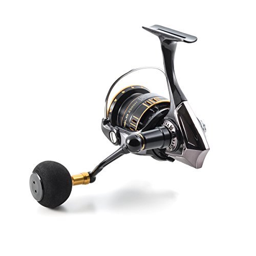 Abu Garcia OCEANFILD 2500H 2500H OCEANFILD Spinning Fishing Reel ea60c2 Abu Garcia OCEANFILD 2500H 2500H OCEANFILD Spinning Fishing Reel ea60c2