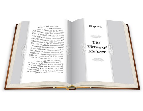 Sefer Miut Hamachzik - Your Guide to Ma'aser Kesafim: by Rabbi Yosef Weiss - Foto 4 di 7