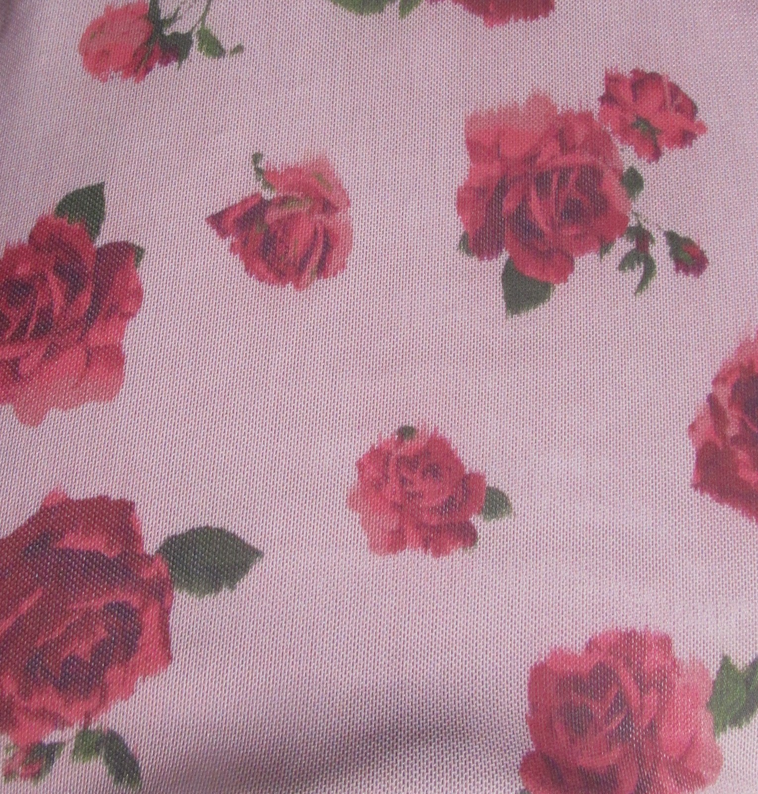 Picture 15 of 20