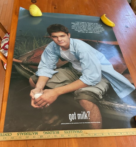 Milch? Joshua Jackson Original Poster 19 x 25. 1998 - Bild 2 von 4