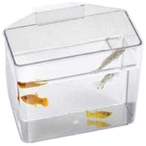 Lee'S Pet Products Ale10516 Heavy Duty Specimen Container For Aquarium Small