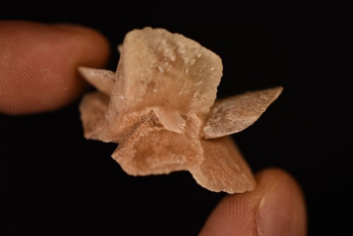 3 *AUSTRALIAN* SAND GYPSUM Specimens 3-5cm 57.4g Crystal Cluster South Australia - Bild 6 von 18
