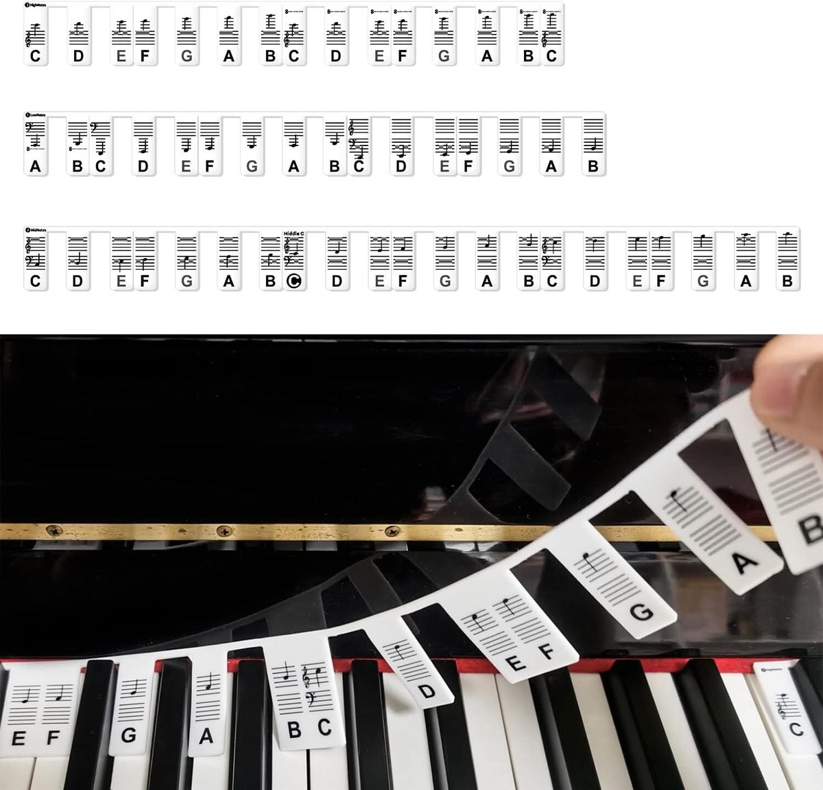 Casio piano keys labeled deals
