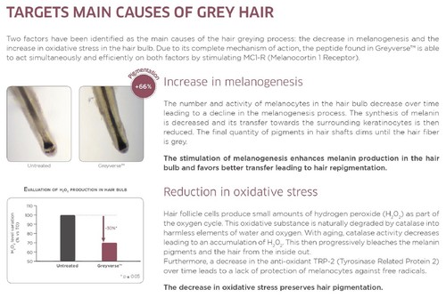 REGENSIFY Hair Melanin Booster Anti Grey Lotion Greyverse, Darkenyl, MelanoGray - Picture 10 of 17