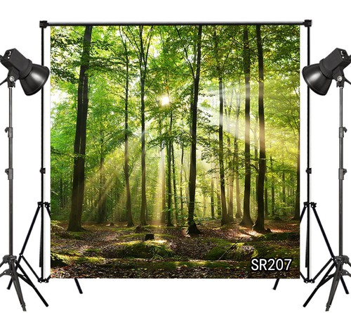 10x10ft Morning Sunlight Green Forest Trees Background Vinyl Photo Backdrop LB - Picture 3 of 11