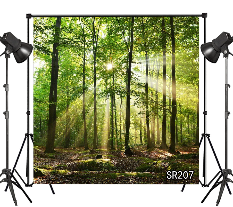 10x10ft Morning Sunlight Green Forest Trees Background Vinyl Photo Backdrop LB - Image 3 of 4