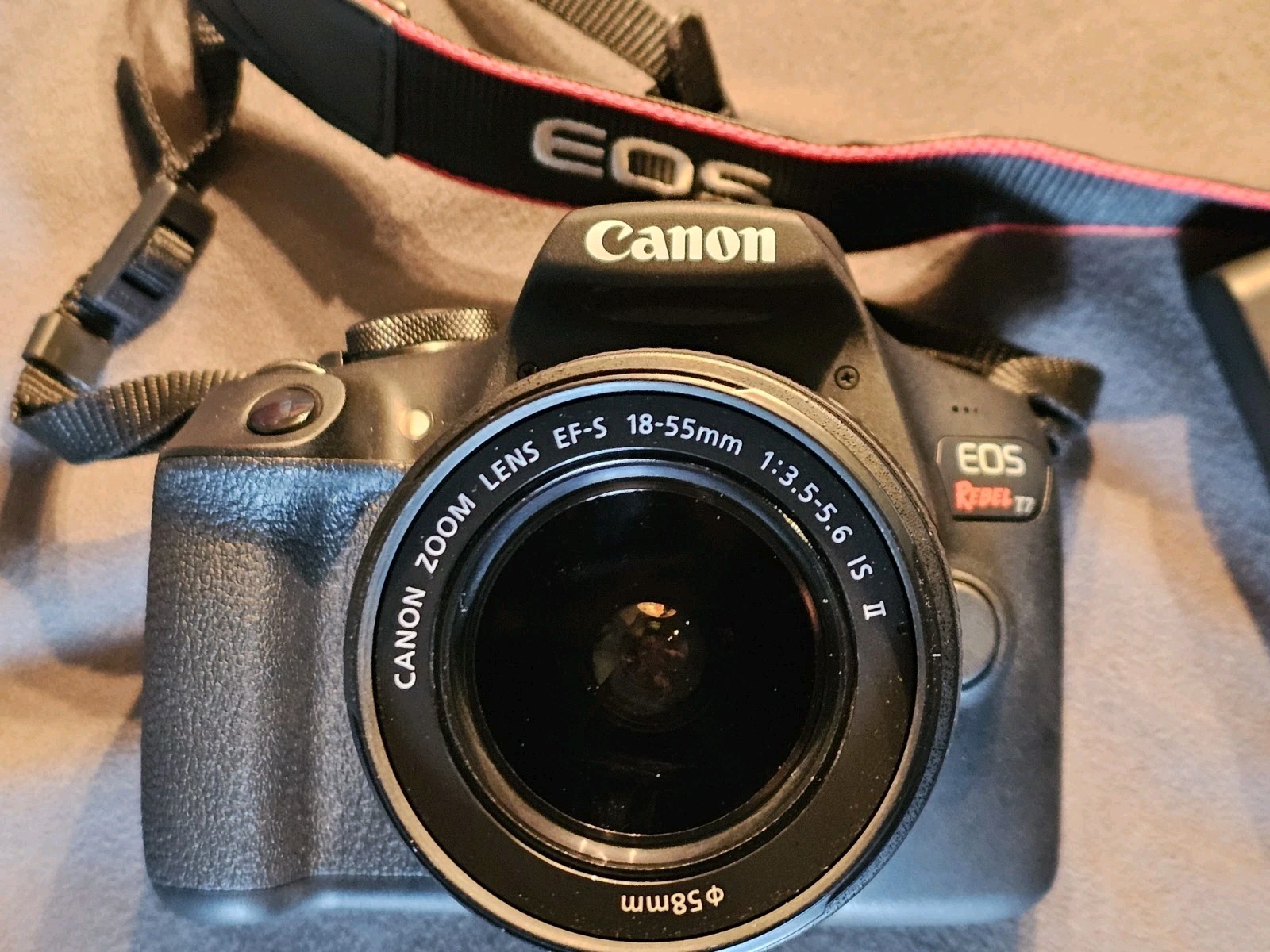 Picture 5 of 24