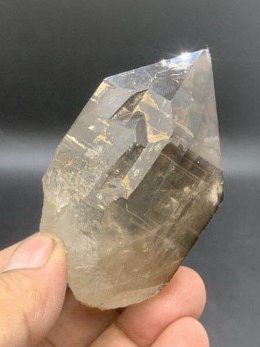 1200 Carats Beautiful Lustrous Smoky Quartz - Picture 17 of 17