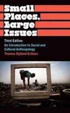 Small Places, Large Issues: An Introduction to Social and Cultural...