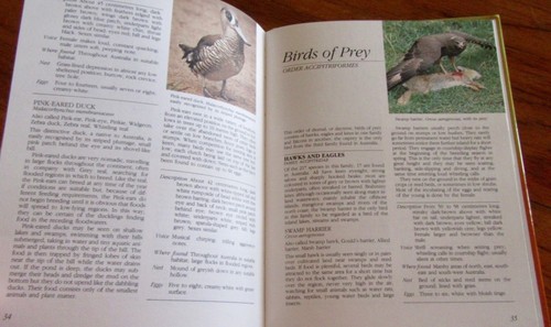 AVES DE VÍAS FLUVIALES AUSTRALIANAS ~ Libros de la bahía. Austn Wildlife Series Hb en MELB - Imagen 17 de 22