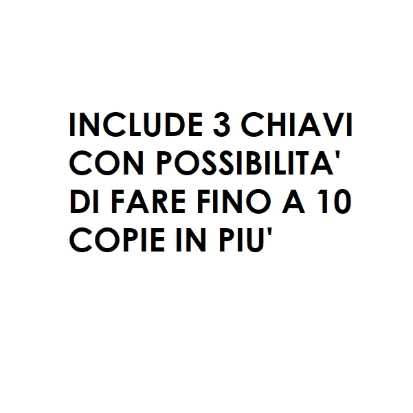 CILINDRO WALLY STACCATO PER SERRATURA FERROGLIETTO PORTA LEGNO +DUPLICATO CHIAVI - Immagine 3 di 3